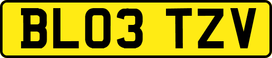 BL03TZV