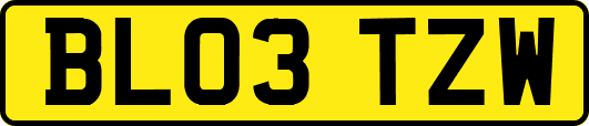 BL03TZW