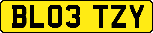 BL03TZY