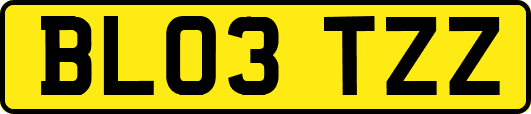 BL03TZZ