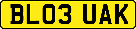 BL03UAK