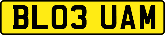 BL03UAM