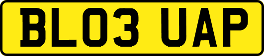 BL03UAP