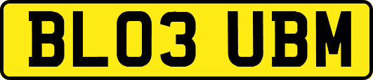 BL03UBM