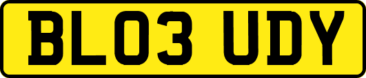 BL03UDY