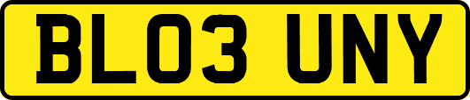 BL03UNY
