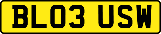 BL03USW