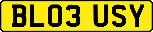 BL03USY