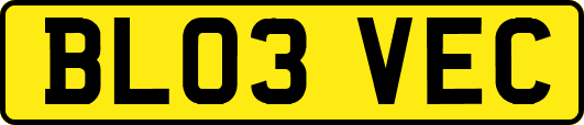 BL03VEC