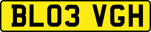 BL03VGH