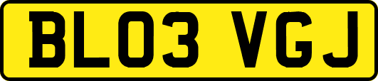 BL03VGJ