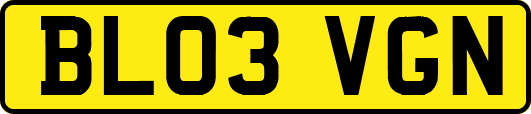 BL03VGN