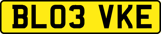 BL03VKE