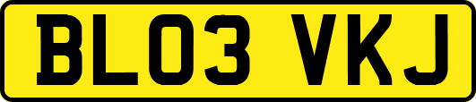 BL03VKJ