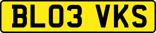 BL03VKS