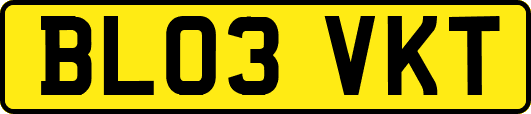 BL03VKT