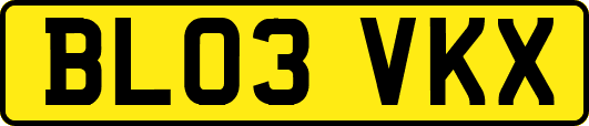 BL03VKX