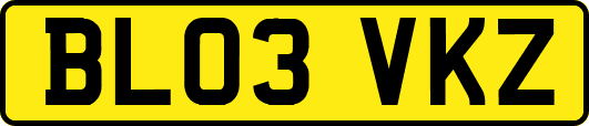 BL03VKZ