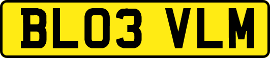 BL03VLM