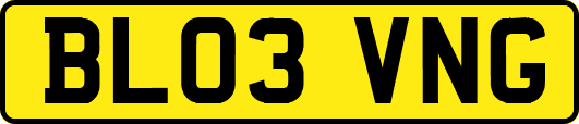 BL03VNG