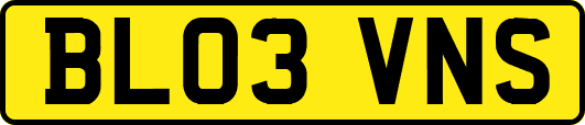 BL03VNS