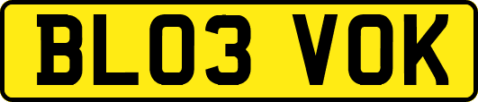 BL03VOK
