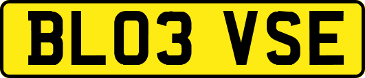 BL03VSE