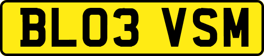 BL03VSM