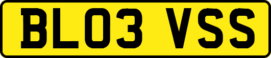 BL03VSS