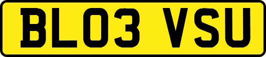 BL03VSU