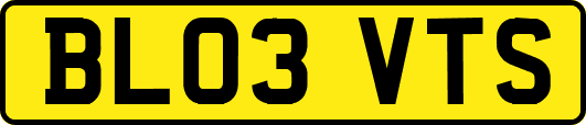 BL03VTS