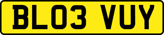 BL03VUY