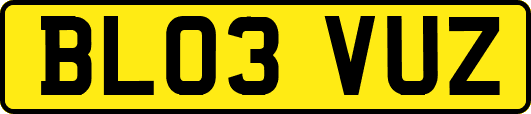 BL03VUZ