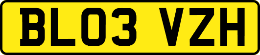 BL03VZH