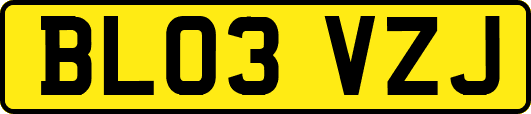 BL03VZJ