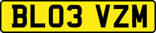 BL03VZM
