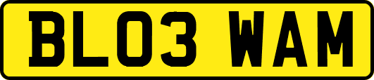 BL03WAM