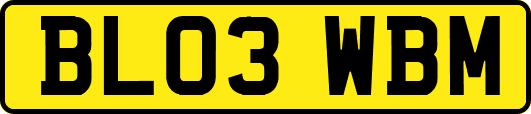 BL03WBM