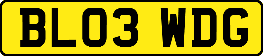 BL03WDG