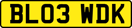 BL03WDK