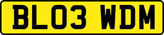 BL03WDM