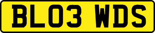 BL03WDS