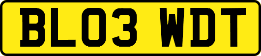 BL03WDT