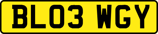 BL03WGY