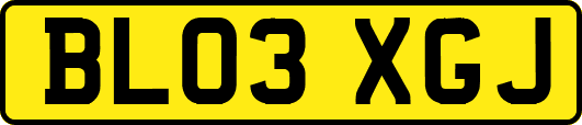BL03XGJ
