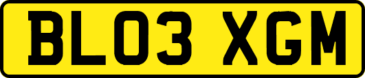 BL03XGM