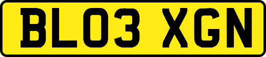 BL03XGN
