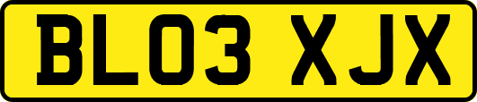 BL03XJX