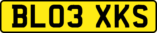 BL03XKS