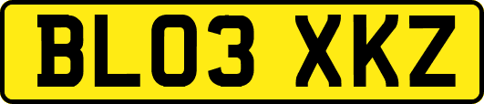 BL03XKZ